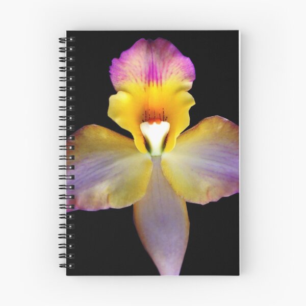 Item preview, VaVaVa Voom -  Orchid Alien Discovery designed and sold by Ashley Cooke.