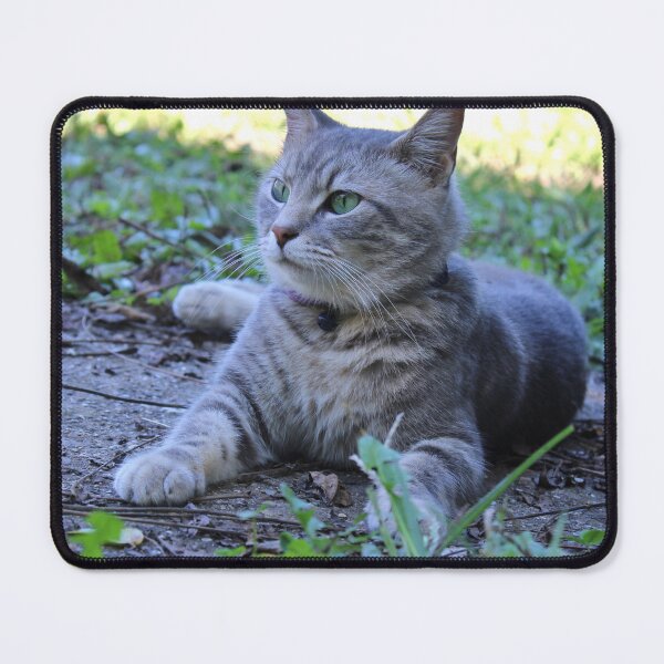 Item preview, Grey tabby cat designed and sold by McFleur's Lens.