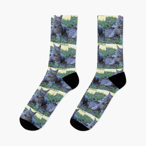 Item preview, Grey tabby cat  designed and sold by McFleur's Lens.