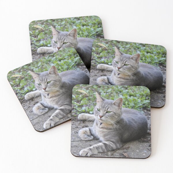 Item preview, Grey tabby cat  designed and sold by McFleur's Lens.