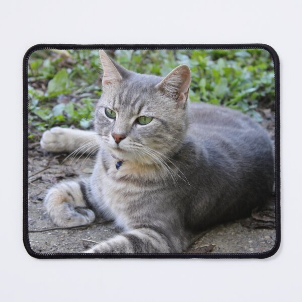 Item preview, Grey tabby cat designed and sold by McFleur's Lens.