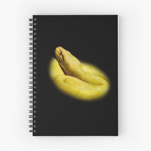 Item preview, Albino python designed and sold by Guardi71.