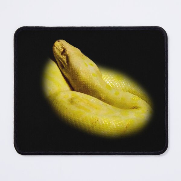 Artikelvorschau, Albino-Python entworfen und verkauft von Guardi71.
