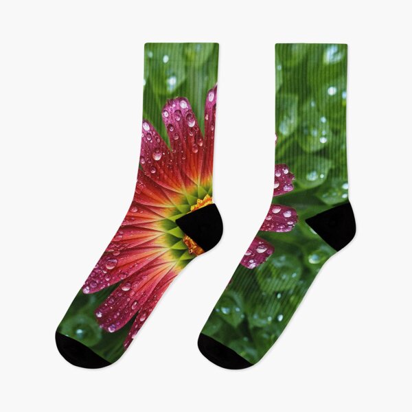 Item preview, Flower Rain: Vibrant Colors in the Shimmer of Drops designed and sold by Girih.