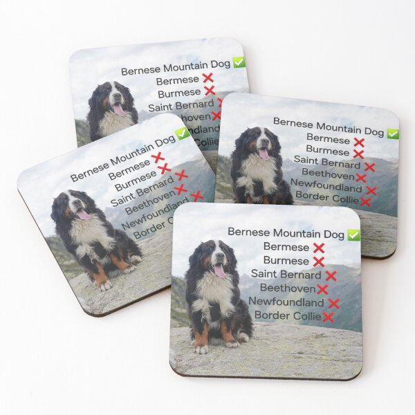 Item preview, Bernese NOT Saint Bernard - For Berner owners  designed and sold by AlbertandOlly.