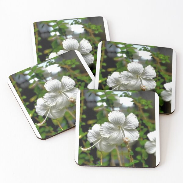 Item preview, Rare White Hibiscus  designed and sold by John  Patrick.