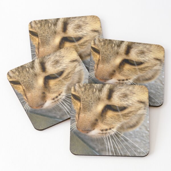 Item preview, Cat designed and sold by tomatoPasta007.