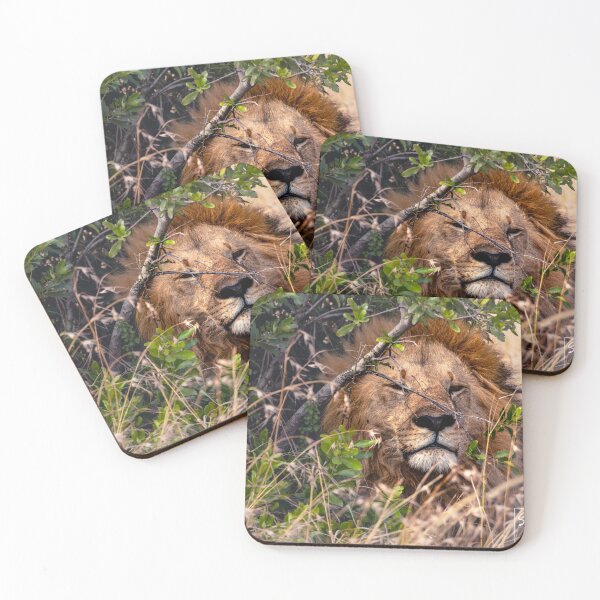 Item preview, Majestic Lion designed and sold by shegoes-photo.