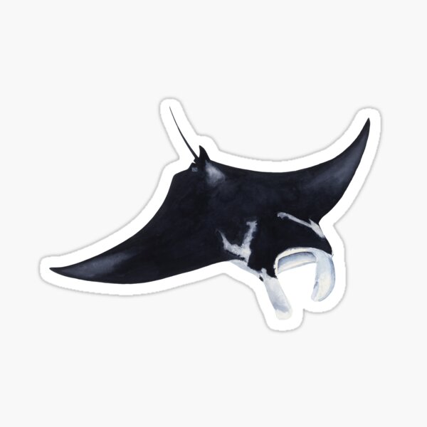 Aperçu de l'œuvre MANTARAY créée et vendue par BEATRIZ ABAITUA.