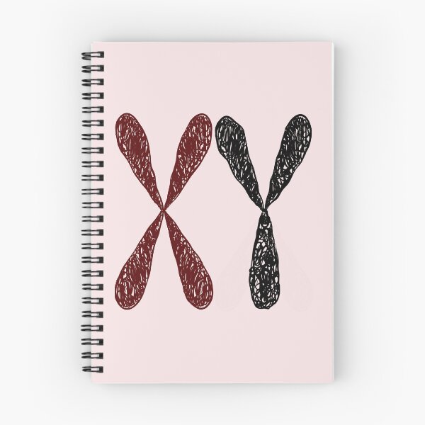 Item preview, Male chromosome designed and sold by CatchyMeow.