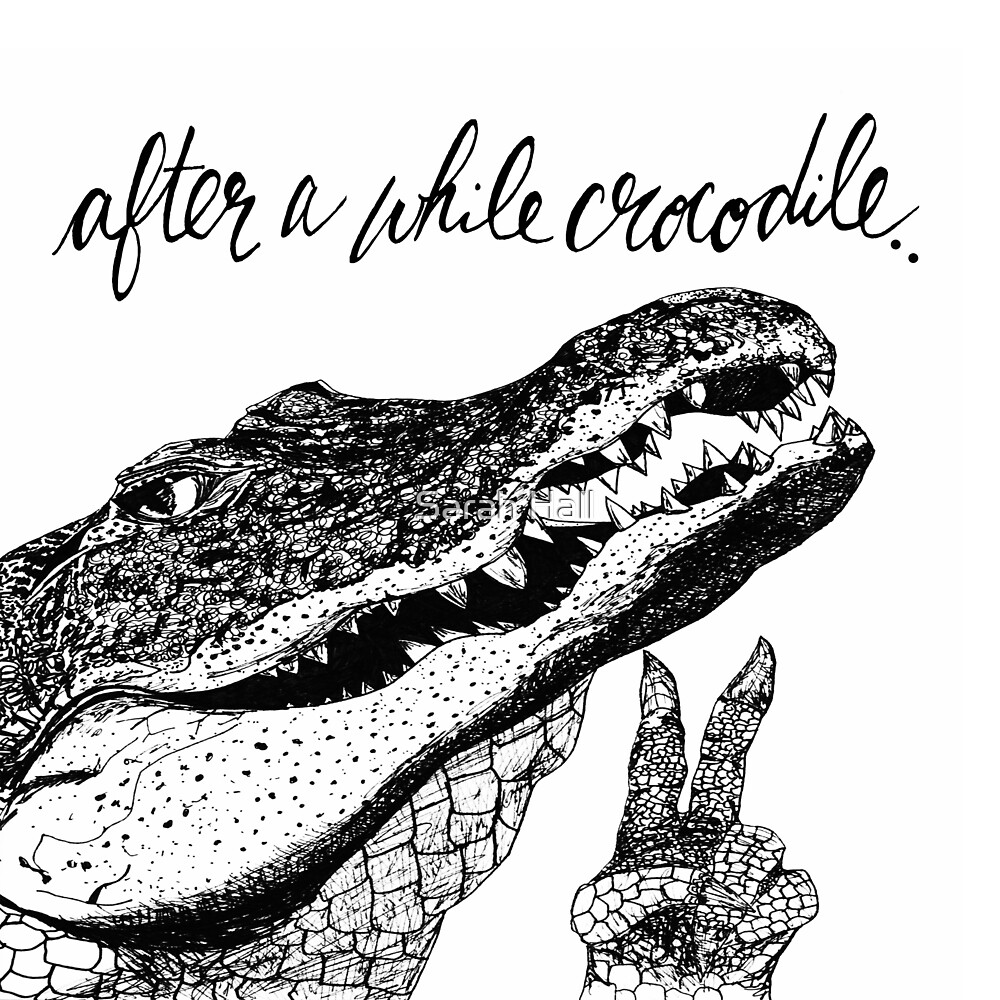 after-a-while-crocodile-by-sarah-hall-redbubble