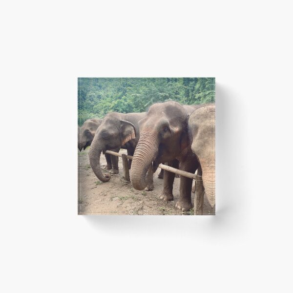 Item preview, Thai Elephants designed and sold by Tessk4.