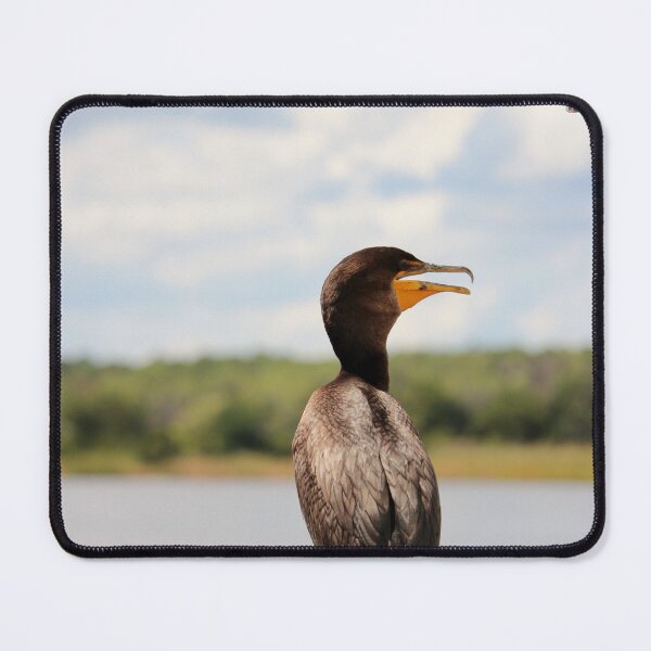 Item preview, Double-crested Cormorant designed and sold by Cynthia48.