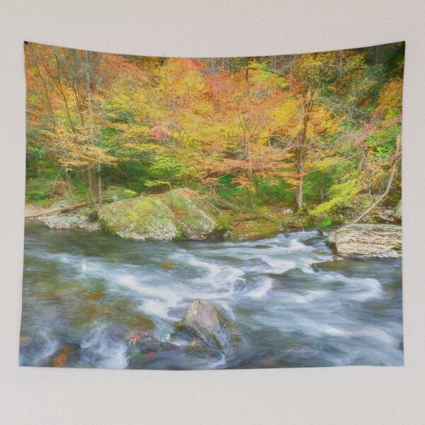 Item preview, Waterfalls Great Smoky Mountains X133 designed and sold by RichFrancoCars.