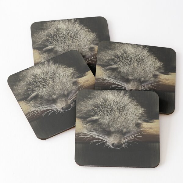 Item preview, Binturong designed and sold by shalisa.