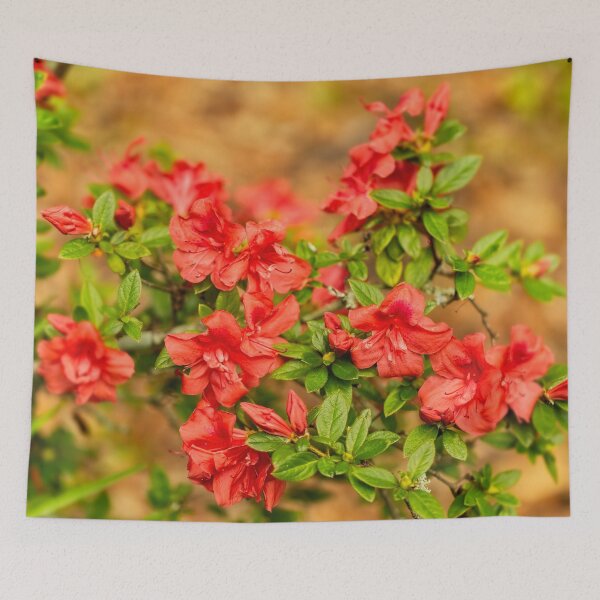 Item preview, Masses of Azaleas designed and sold by Kay Brewer.