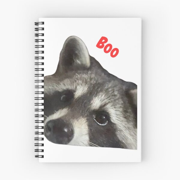 Item preview, Boo the Raccoon Face designed and sold by Richard W J Conyard.