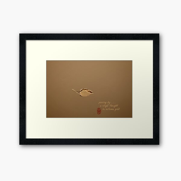 passing by Framed Art Print