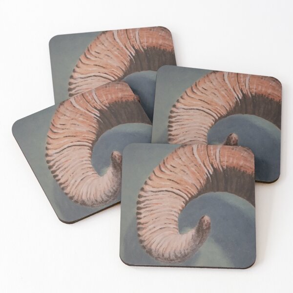 Item preview, Ram Horn Still Life designed and sold by Ellen Wentz.
