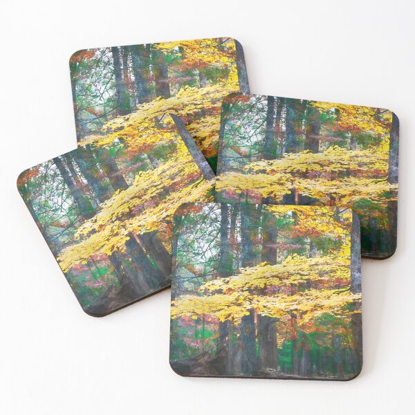 Item preview, Fall Foliage Fall Colors Great Smoky Mountains X138 designed and sold by RichFrancoCars.