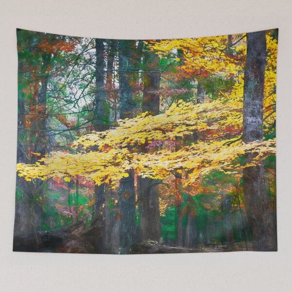 Item preview, Fall Foliage Fall Colors Great Smoky Mountains X138 designed and sold by RichFrancoCars.