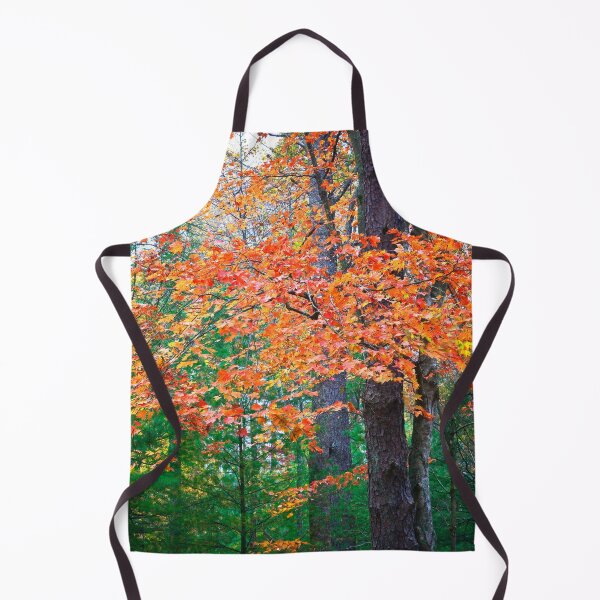 Item preview, Red Maple Leaves Fall Foliage Fall Colors Great Smoky Mountains X141 designed and sold by RichFrancoCars.