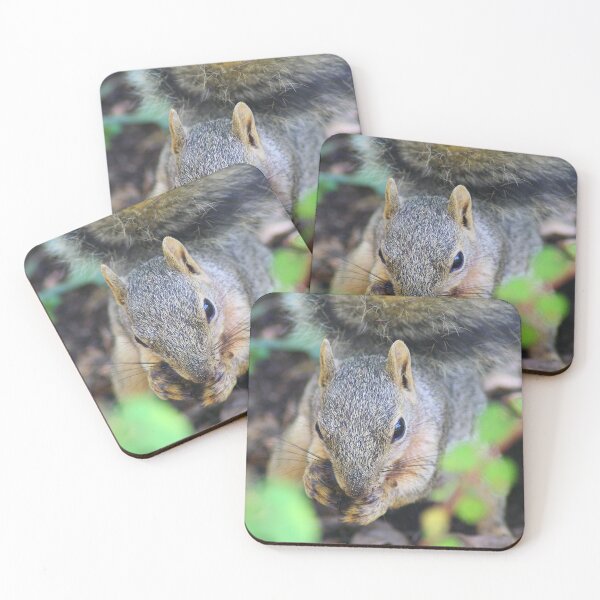 Item preview, Squirrel Eating designed and sold by HematiteDesign.