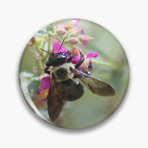 Item preview, Carpenter Bee on Flower designed and sold by HematiteDesign.