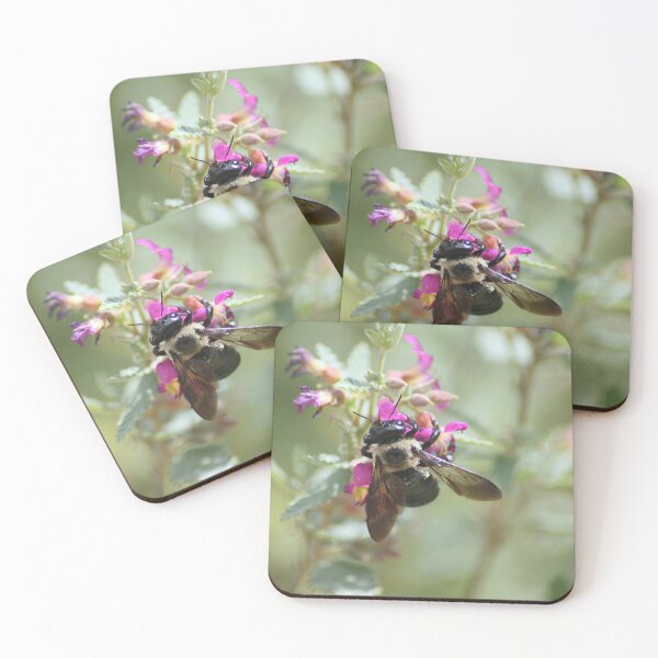 Item preview, Carpenter Bee on Flower designed and sold by HematiteDesign.