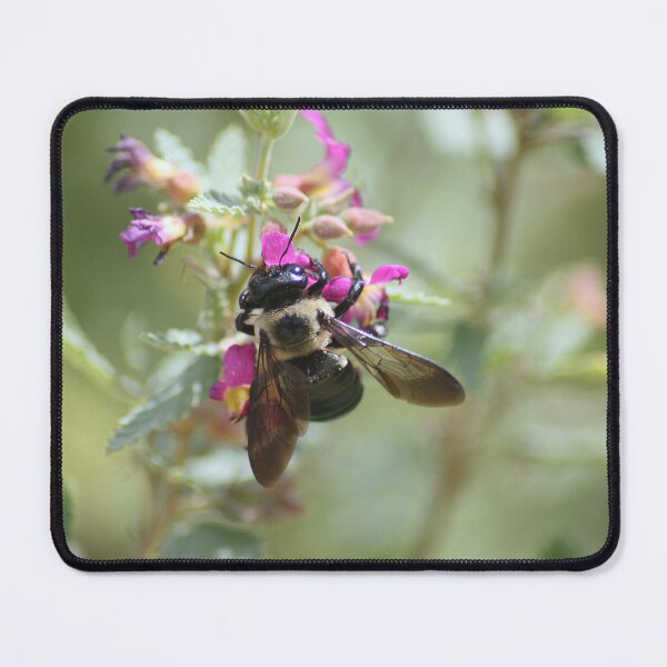 Item preview, Carpenter Bee on Flower designed and sold by HematiteDesign.
