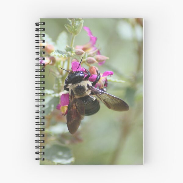 Item preview, Carpenter Bee on Flower designed and sold by HematiteDesign.
