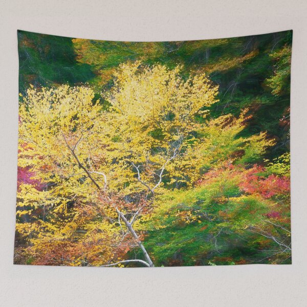 Item preview, Red Maple Leaves Fall Foliage Fall Colors Great Smoky Mountains X144 designed and sold by RichFrancoCars.
