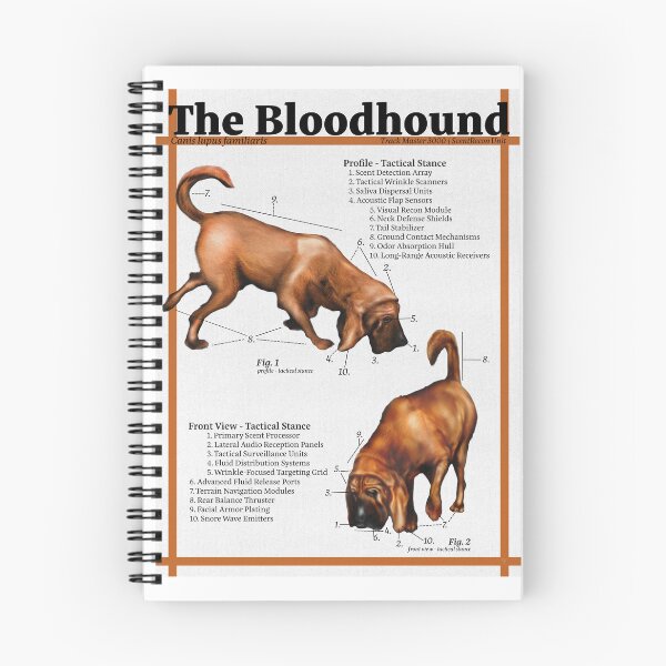 Item preview, Bloodhound Diagram designed and sold by LunaThorne.
