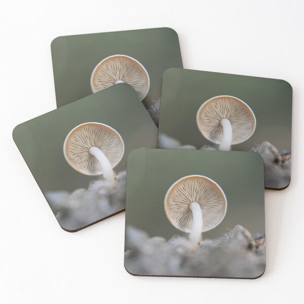 Item preview, Tiny  Mushroom growing on a pinecone designed and sold by Tonia Delozier's Photography .