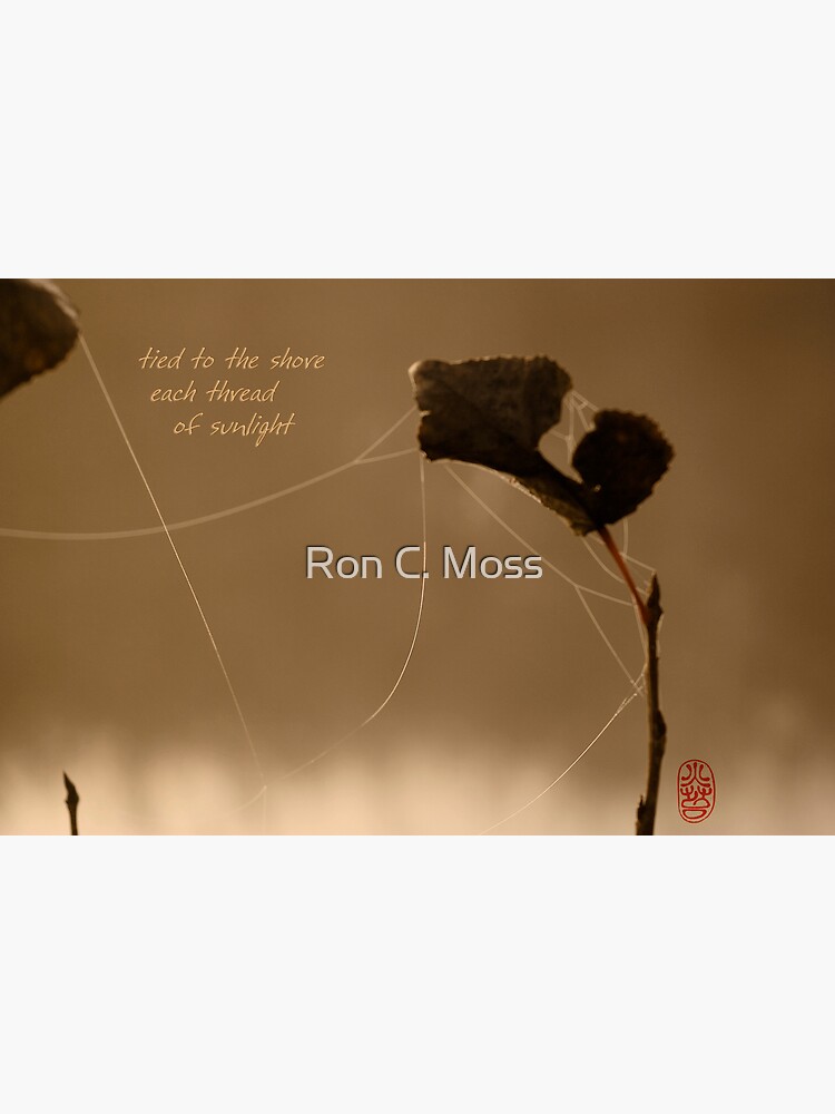 autumn gold by ronmoss