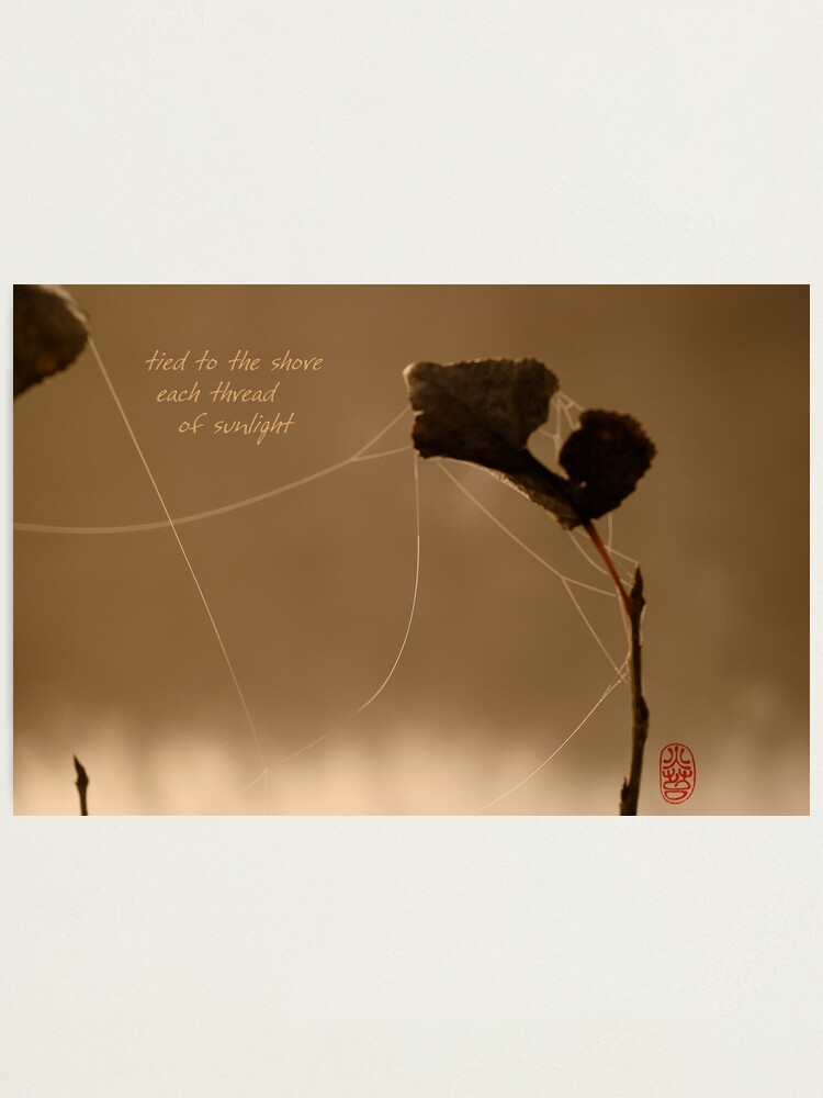 Alternate view of autumn gold Photographic Print