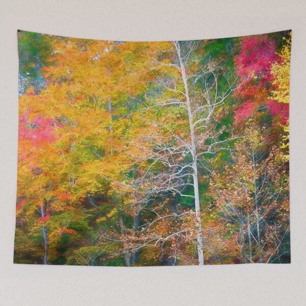 Item preview, Red Maple Leaves Fall Foliage Fall Colors Great Smoky Mountains X145 designed and sold by RichFrancoCars.