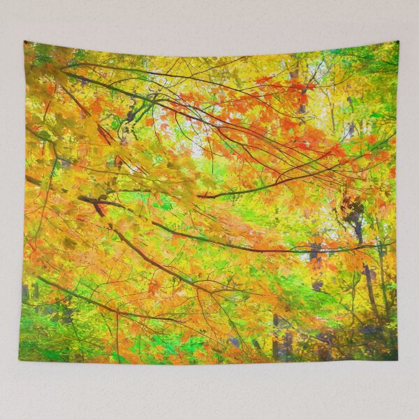 Item preview, Red Maple Leaves Fall Foliage Fall Colors Great Smoky Mountains X147 designed and sold by RichFrancoCars.