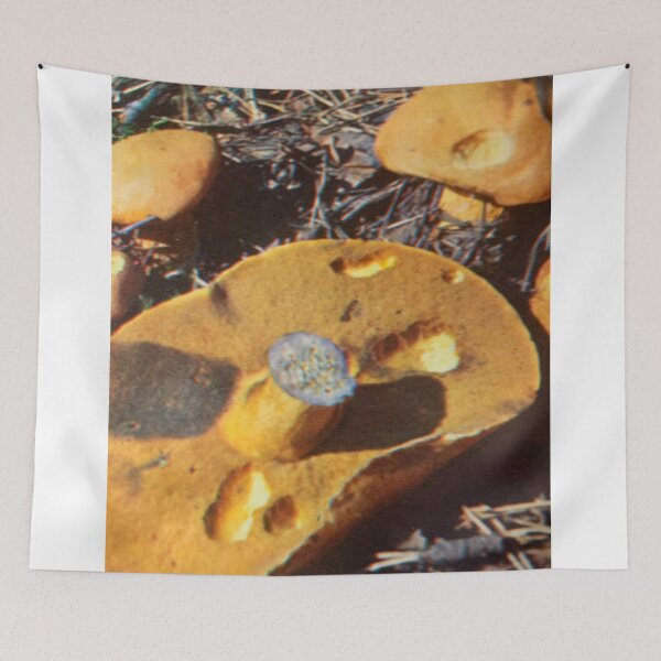 Item preview, boletus style. designed and sold by Valgasnews011.