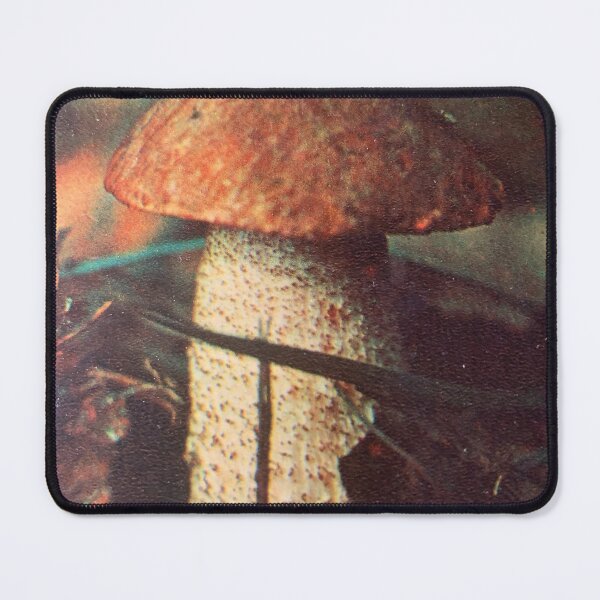 Item preview, birch boletus style. designed and sold by Valgasnews011.