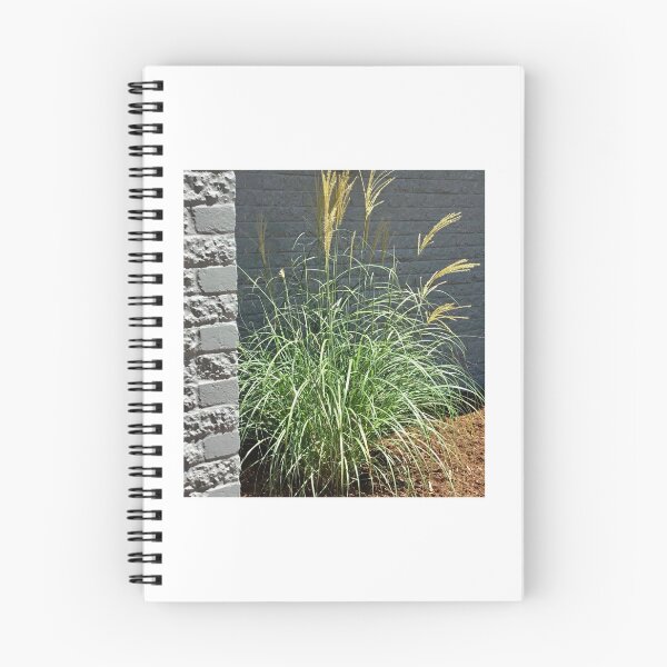 Item preview, Pretty Pampas designed and sold by Jane Evans.