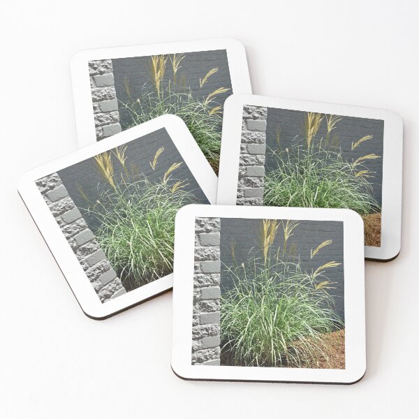 Item preview, Pretty Pampas designed and sold by Jane Evans.
