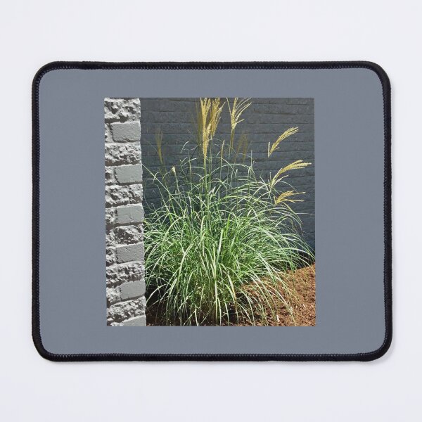 Item preview, Pretty Pampas designed and sold by Jane Evans.