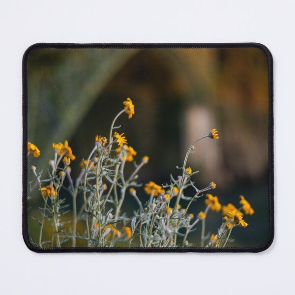 Item preview, Deception pass designed and sold by millivedder.