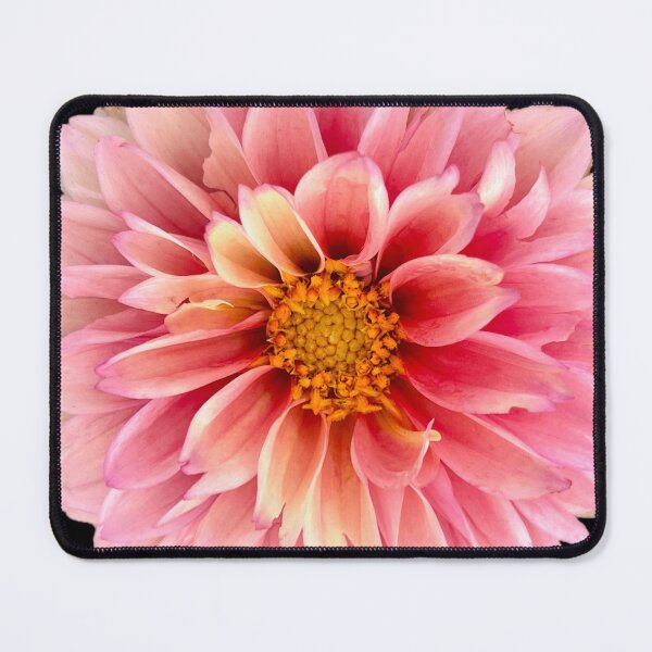 Item preview, Pink Dahlia designed and sold by ascherf.