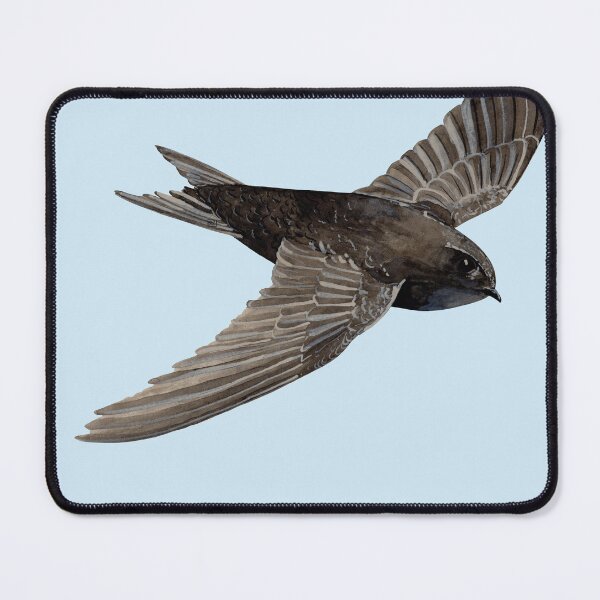 Item preview, COMMON SWIFT-Apus apus designed and sold by BEATRIZ ABAITUA.
