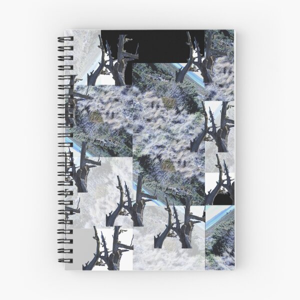Item preview, Highland Postcard designed and sold by LisaJene.