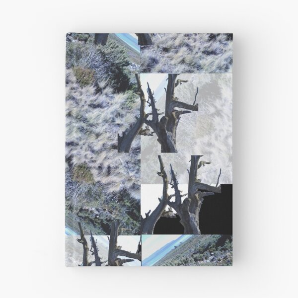 Item preview, Highland Postcard designed and sold by LisaJene.