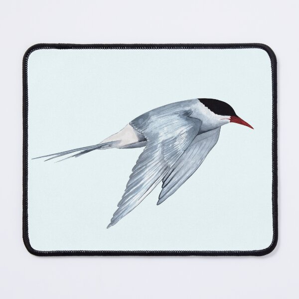 Item preview, ARCTIC TERN-Sterna paradisaea designed and sold by BEATRIZ ABAITUA.