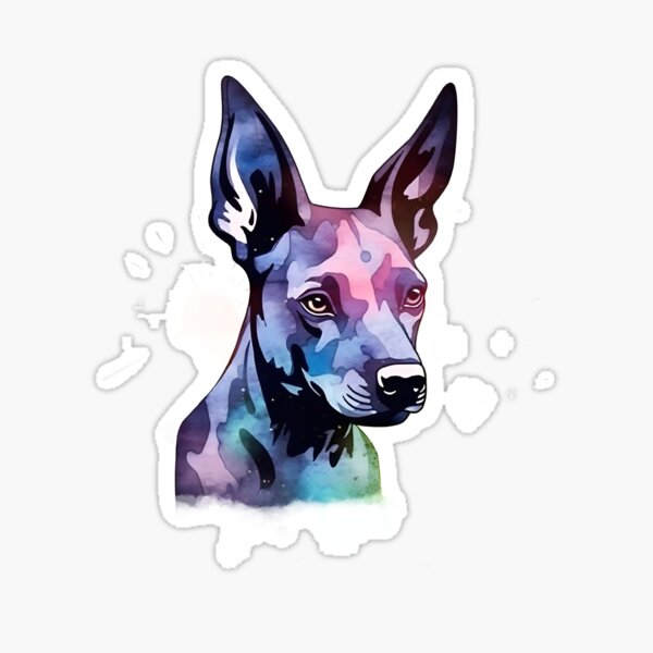 Item preview, Xoloitzcuintli | Diseño colorido en acuarela #4 designed and sold by MatsurexDesigns.